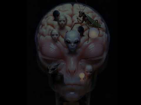 Valerio Lonzi Ipnosi II