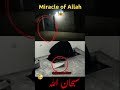 Miracle Of Allah الله أكبر Youtubeshorts Viral Shortvideo Viralvideo Shorts Viralshort Allah
