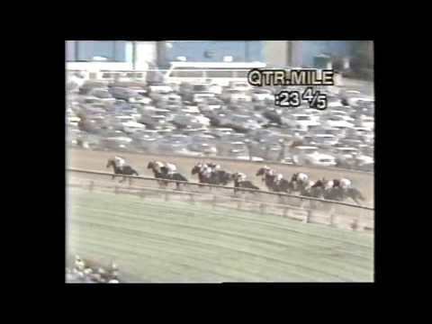 PLEASANT COLONY - PREAKNESS STAKES 1981