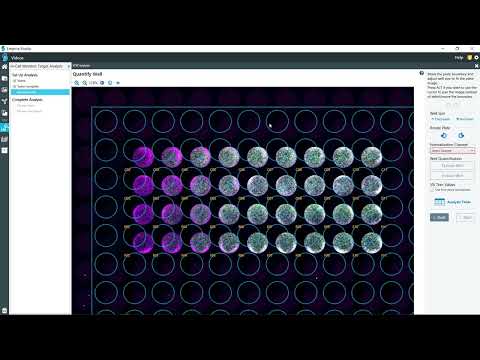 Empiria Studio® Software 2.0: In-Cell Western™ Assay Target Analysis