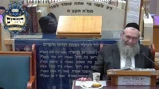 הרב יהושע ויזגן מסכת חולין דף סג עמוד ב' (בית הכנסת מוסאיוף) - התמונה מוצגת ישירות מתוך אתר האינטרנט יוטיוב. זכויות היוצרים בתמונה שייכות ליוצרה. קישור קרדיט למקור התוכן נמצא בתוך דף הסרטון