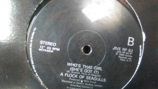 A FLOCK OF SEAGULLS - WHO´S THAT GIRL (SHE´S GOT IT)