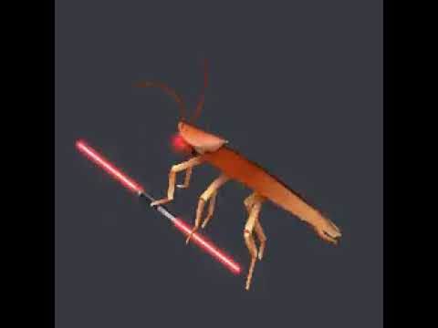 darth roach.mp4