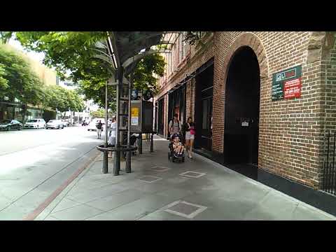 SAMO 20230630 124127