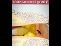 Cockroach कान में घुस गया Shorts