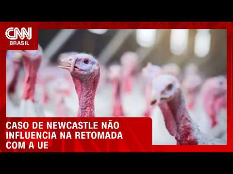 Casos de Newcastle não influenciam em negociação com UE, diz secretário | CNN AGRO NEWS