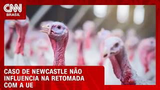 Vídeo: Casos de Newcastle não influenciam em negociação com UE, diz secretário | CNN AGRO NEWS