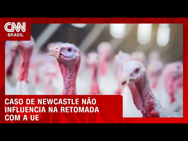 Casos de Newcastle não influenciam em negociação com UE, diz secretário | CNN AGRO NEWS