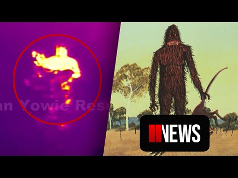 Yowie caught on camera?
