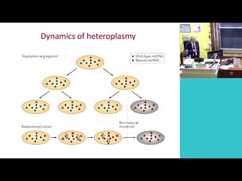 Genomic Seminar - Professor Patrick Chinnery & Dr Stephanie Greville-Heygate