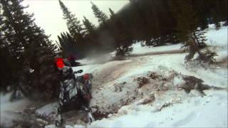 snowryders   tree riding murdoch 2014 12 14