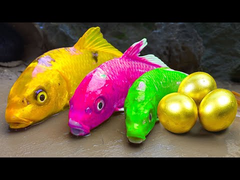 Stop Motion ASMR - Mukbang Big Frogs, Octopus, Trap Golden Snake In hole Colorful Fish Experiment
