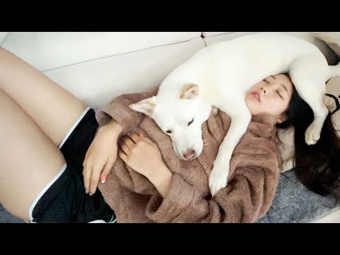 아이콘