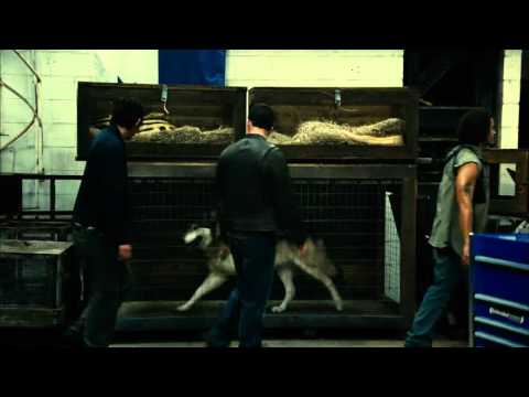 Contraband – Trailer en español HD