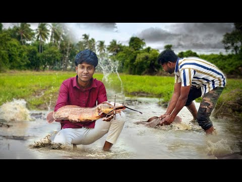 We Found GIANT MONSTERS😳🐬in a FLOODED Field!/JENISH KJ
