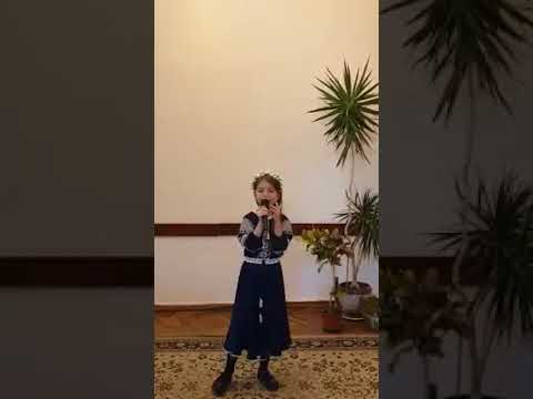 Radiant Ray of Music 2020, Dilevschi Sofia - "Lupii"