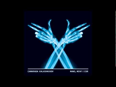 Camarada Kalashnikov - Reflexio bolivariana