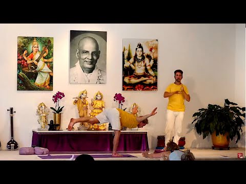 Yogastunde "Im Gleichgewicht" mit Kalidas - Mittelstufe Yoga Vidya Live 16.15 Uhr 22.09.2020