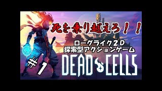 【生実況】死を重ねて強くなれ！【Dead Cells】 #1