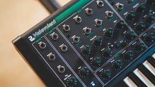 Video thumbnail for PWM Malevolent Overview, Demo, and Thoughts by Patchwerks
