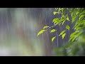 Rain Whatsapp Status Rain Whatsapp Status Video Barish Status Rain Day Nature Whatsapp Status ️ �