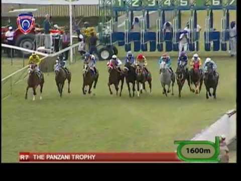 Season 2012 - Meeting 25 - Race 7 - Captain Tempest - G. Faucon - iDates.mu - Turf Mauritius
