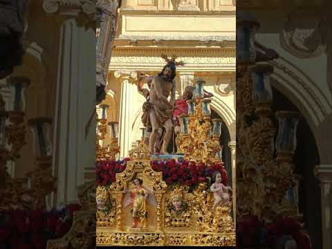 Salida de Cólumna de Priego de Córdoba en la Basílica de San Pedro de Córdoba (Montaje)