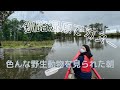 channel