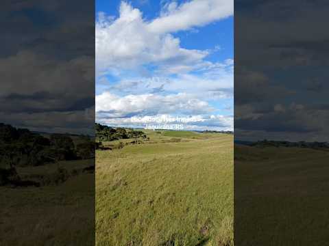 Três Irmãos -Jaquirana RS#shorts#riograndedosul#músicagaúcha#campo#paisagem#serragaucha#gaucho