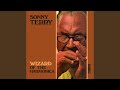 The Harmonica Blues