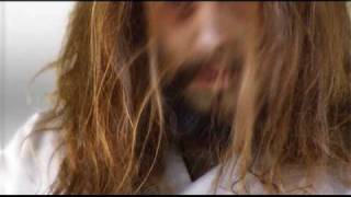 In Flames - The Quiet Place [DVD]