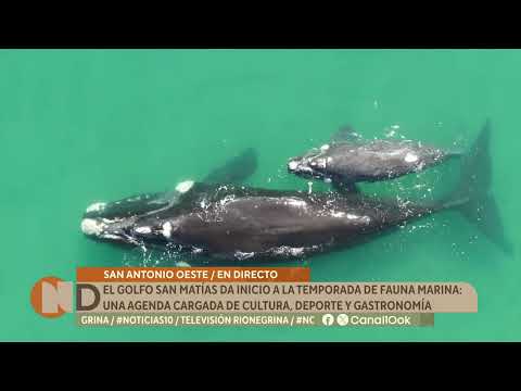 San Antonio Oeste: buscan consolidar la costa rionegrina como destino de naturaleza y aventura