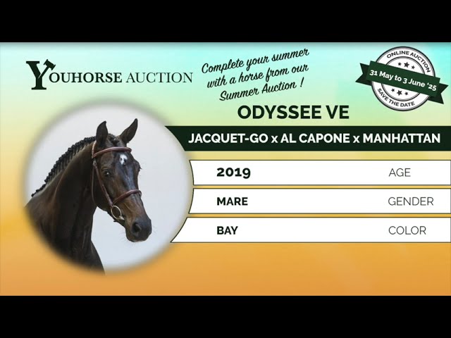 Odyssee showvideo outdoor