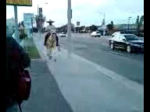 Horse in the Street.mp4