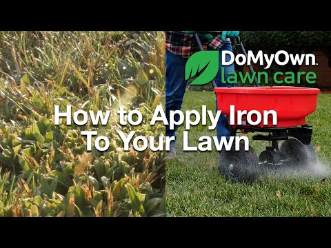  How to Apply Iron to Your Lawn Video 