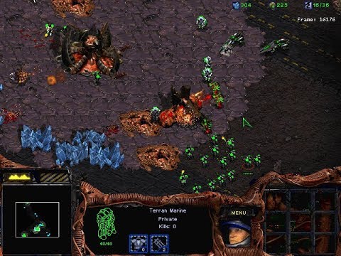 4 Jun 2020 Modstream - Hydra Melee AI
