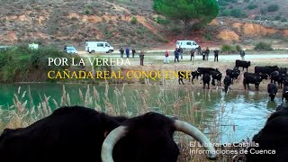 REEDICIÓN. POR LA VEREDA. CAÑADA REAL CONQUENSE