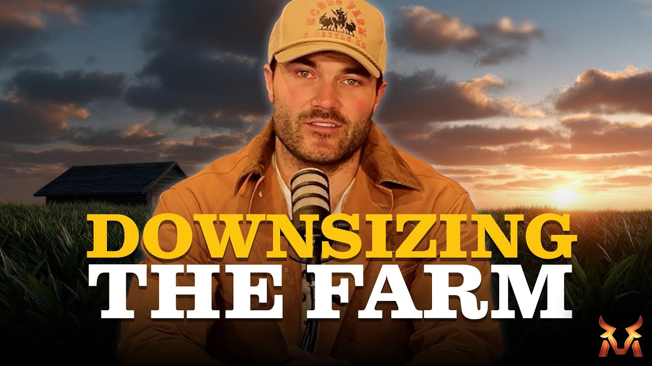 YouTube Thumbnail Downloader FULL HQ IMAGE