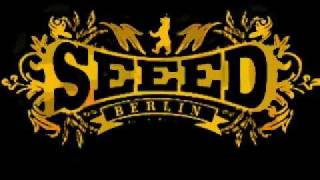 Seeed - Molotov Remix