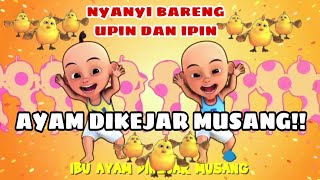 Download lagu Ibu Ayam Dikejar Musang || Nyanyi Bareng Upin dan Ipin || Lagu Anak Terpopuler mp3