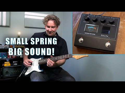 Echo Fix EF-P2 Spring Reverb 2024 - Present - Black. NEW (Authorized Dealer) image 7