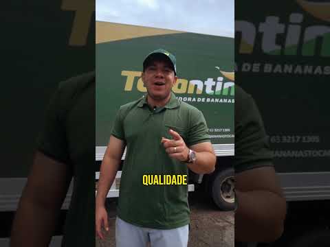 Bananas Tocantins em Colmeia-TO