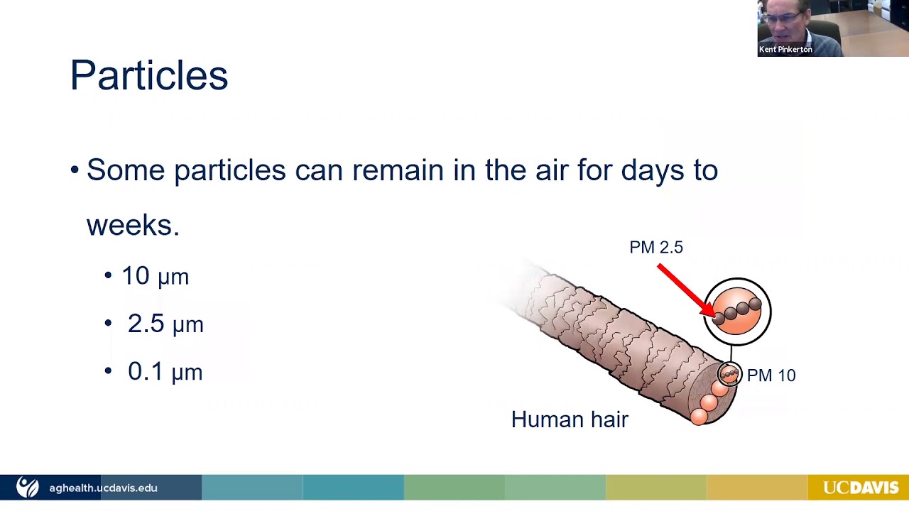 Science Speaks Lecture: Impacts of Wildfire Smoke on Human Health