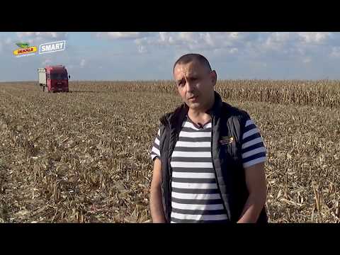 DEKALB - Testimonial Rata Variabila de Semanat