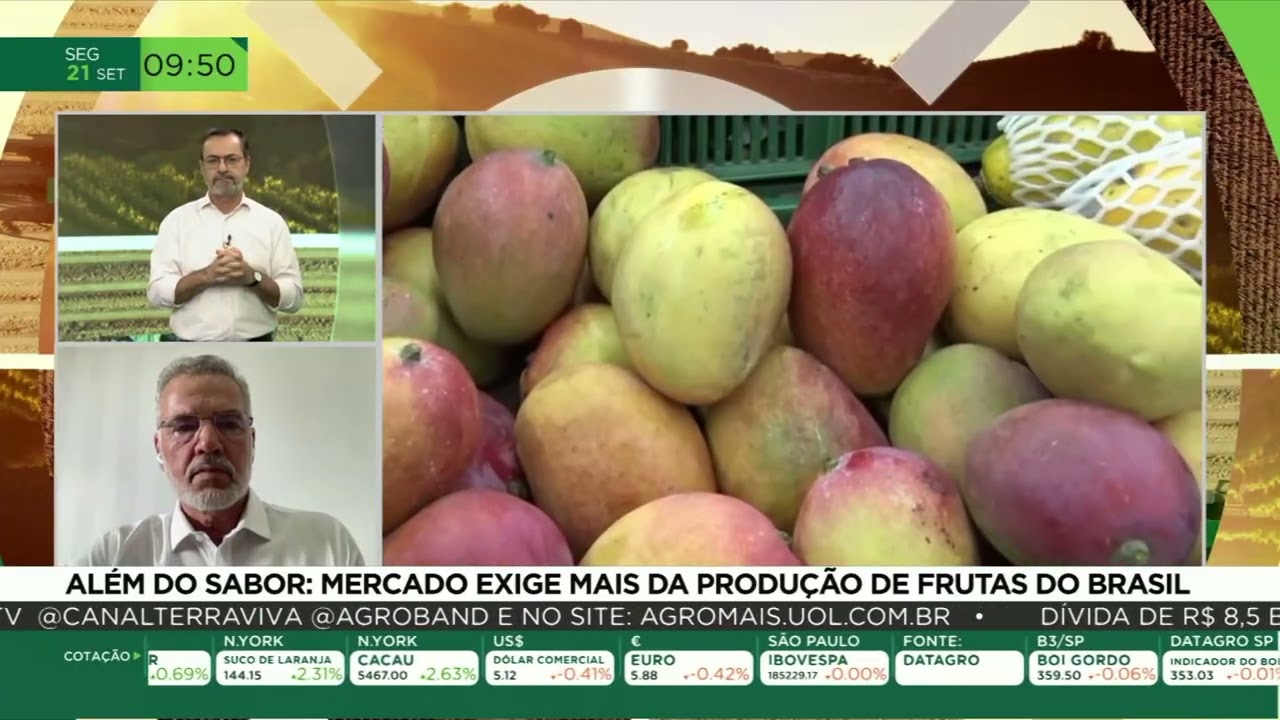 Frutas brasileiras enfrentam mercado internacional cada vez mais exigente