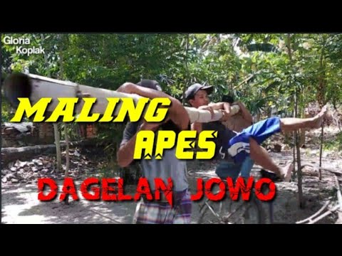 APES - Dagelan jowo eps.05 - film pendek - film komedi - the series