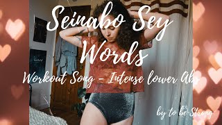 Song Workout: Seinabo Sey - Words | Intense Lower Abs