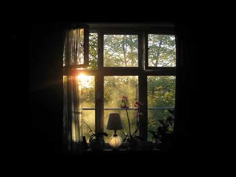 [FREE] Lil Peep x Sewerperson x Skele Type Beat "Healing"