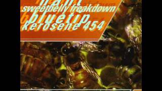 KEROSENE 454 - UPSIDE DOWN [THE JESUS &amp; MARY CHAIN COVER]