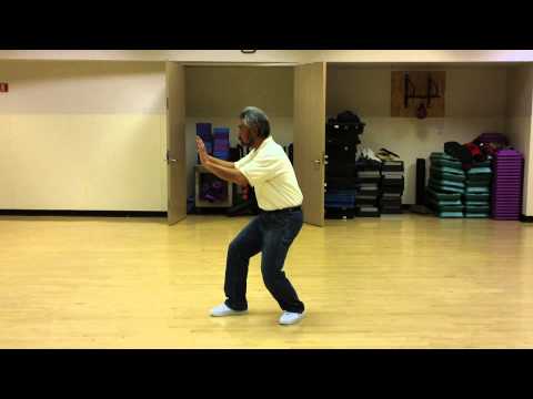 Tai Chi Push Hands Basic Training, Part 2